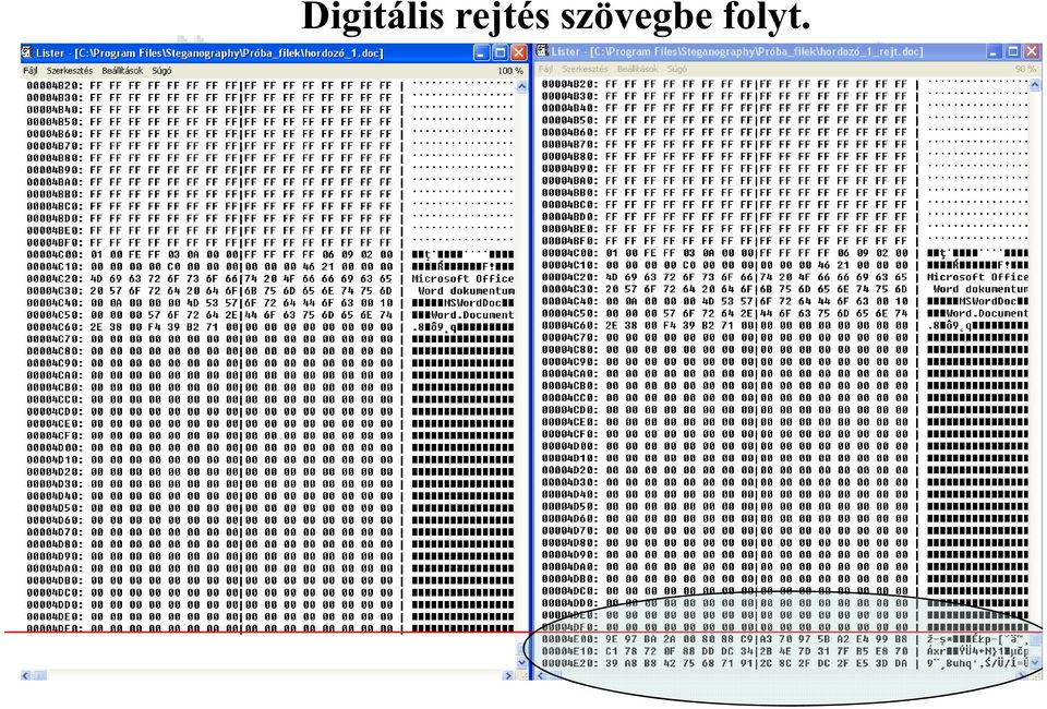 szövegbe