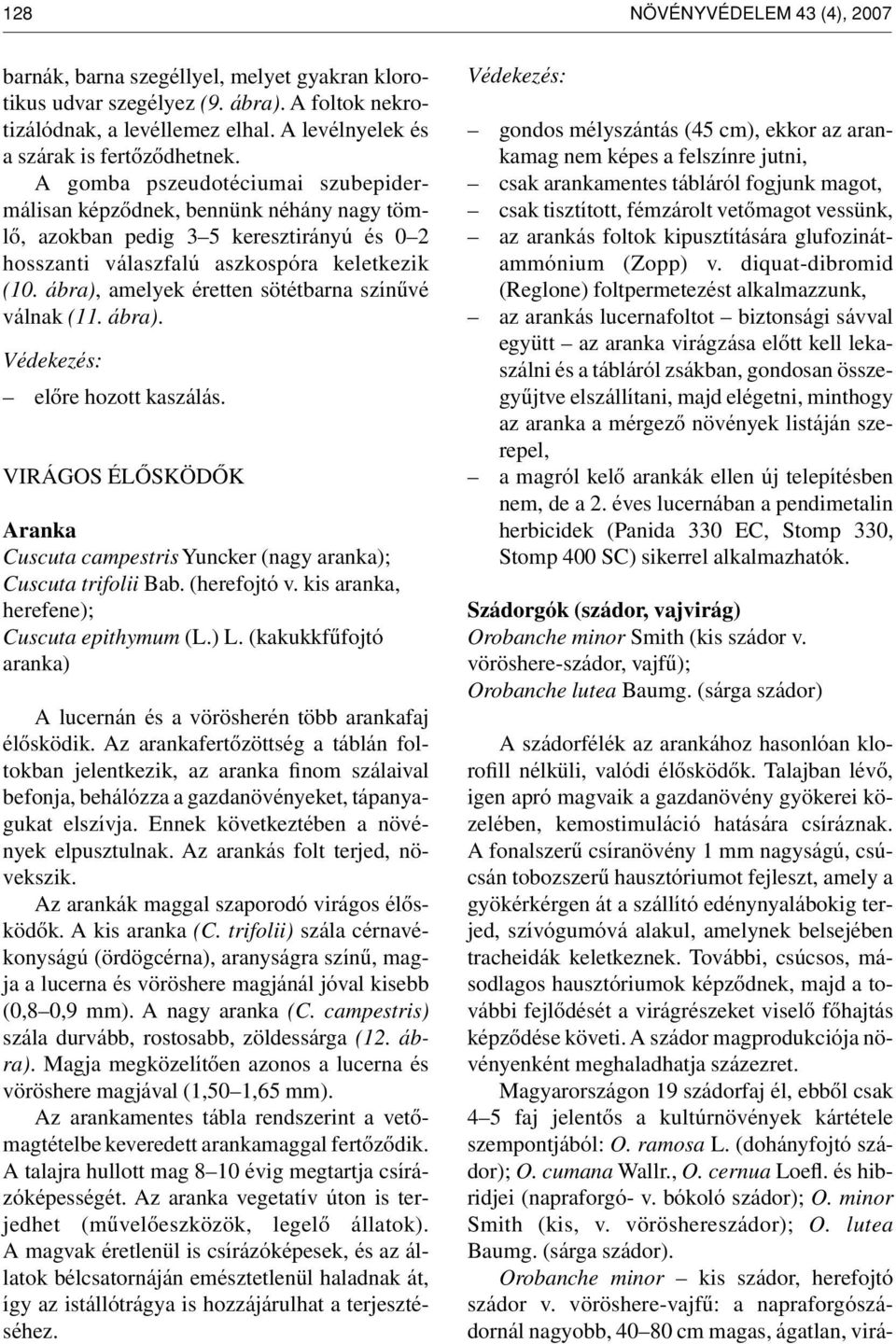 ábra), amelyek éretten sötétbarna színûvé válnak (11. ábra). elôre hozott kaszálás. VIRÁGOS ÉLÔSKÖDÔK Aranka Cuscuta campestris Yuncker (nagy aranka); Cuscuta trifolii Bab. (herefojtó v.