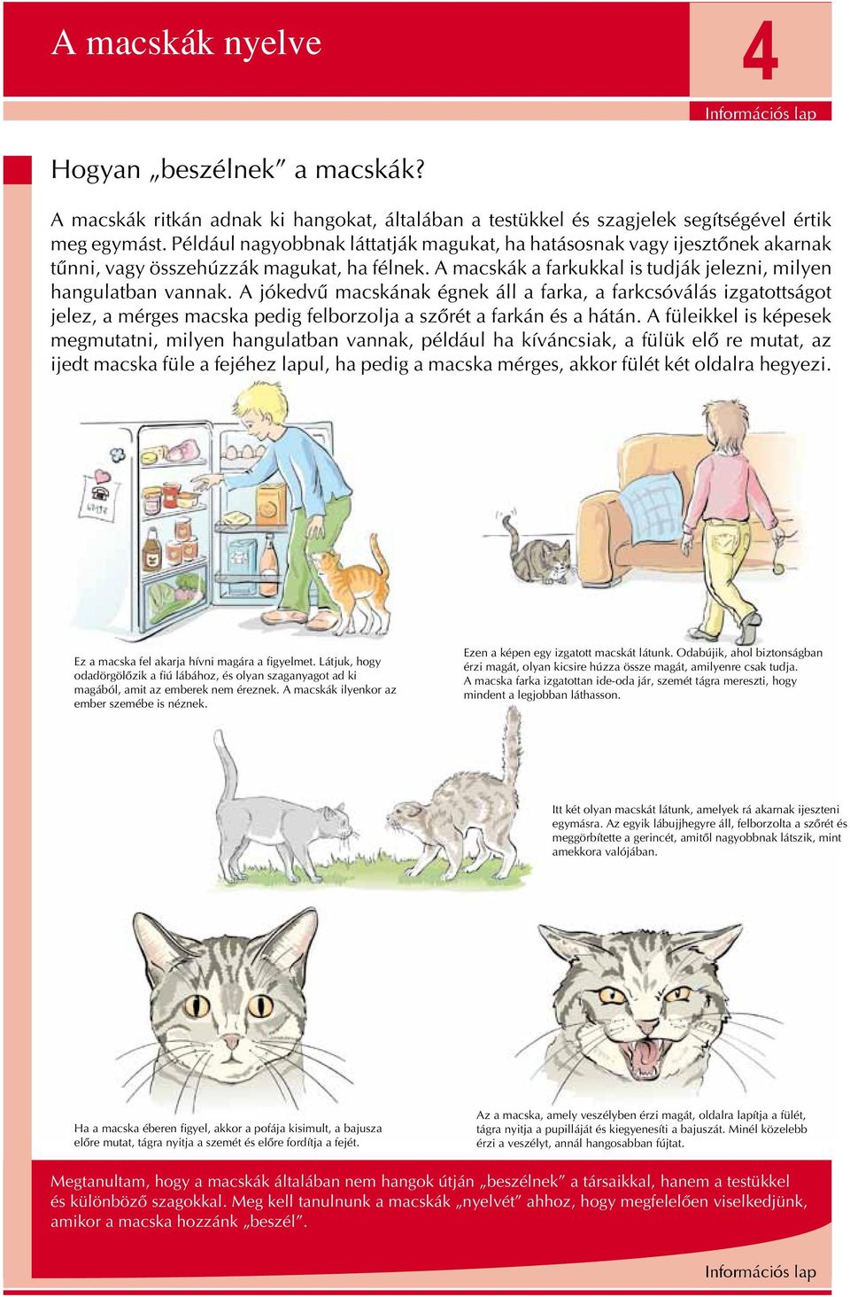 Elbûvölô Elbûvölô macskák Elbûvölô macskák Elbûvölô macskák - PDF Ingyenes  letöltés