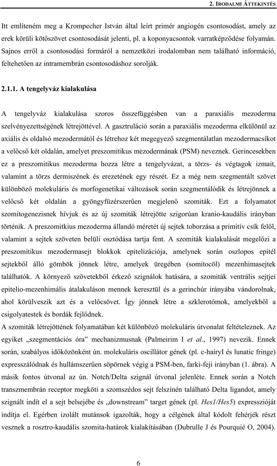 1. A tengelyváz kialakulása A tengelyváz kialakulása szoros összefüggésben van a paraxiális mezoderma szelvényezettségének létrejöttével.