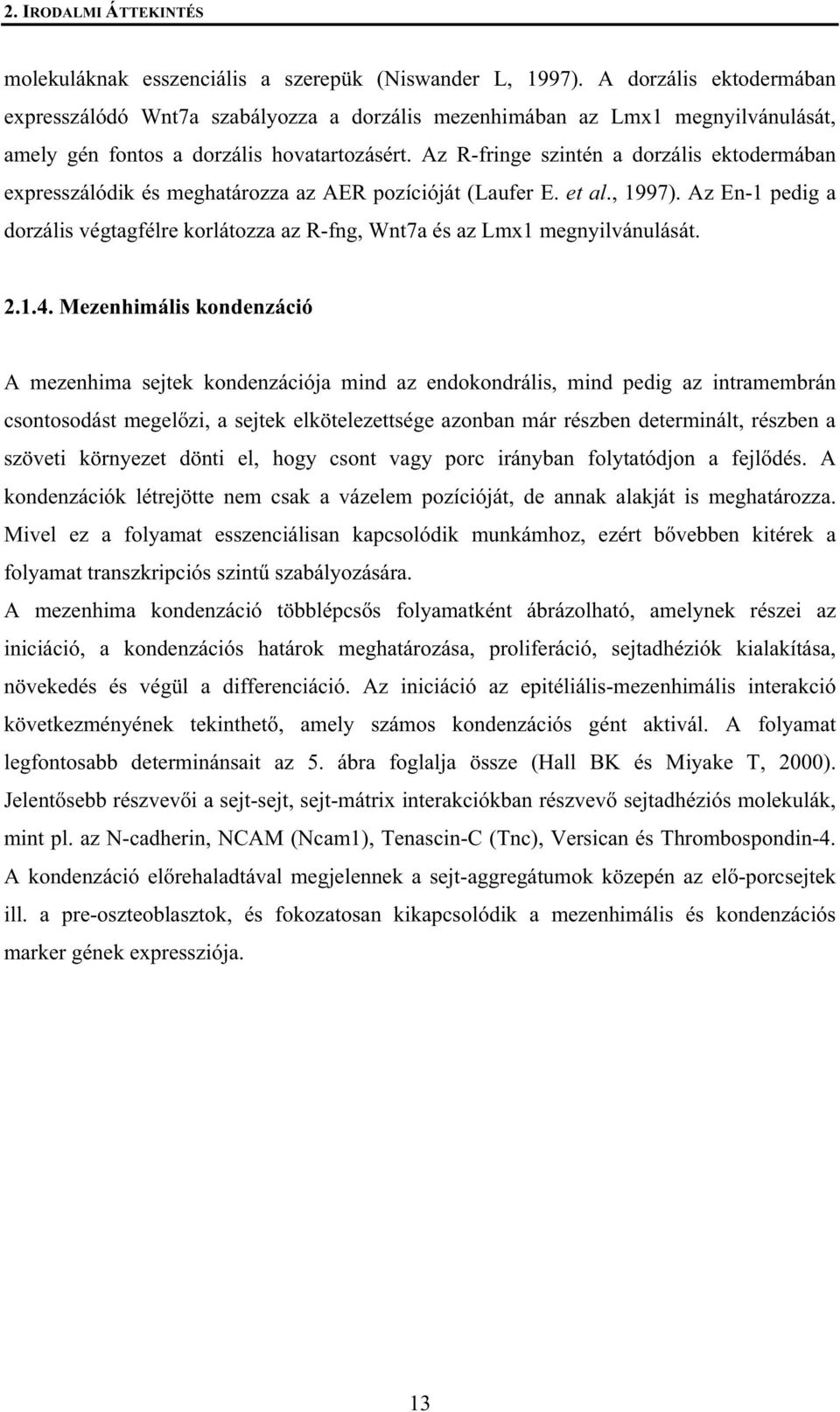 Az R-fringe szintén a dorzális ektodermában expresszálódik és meghatározza az AER pozícióját (Laufer E. et al., 1997).