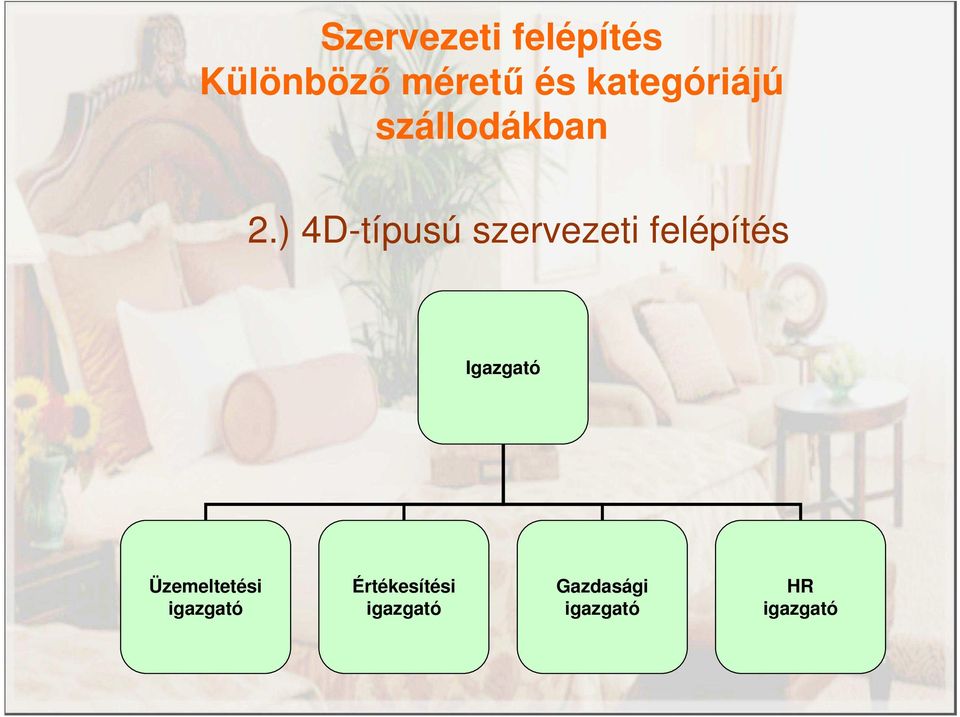 ) 4D-típusú szervezeti felépítés Igazgató