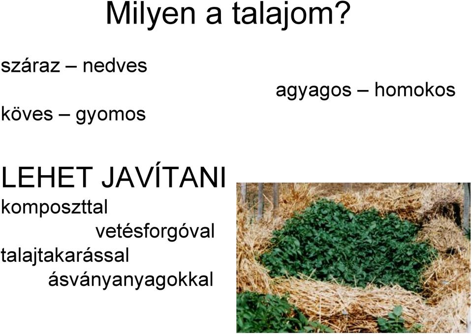 agyagos homokos LEHET JAVÍTANI