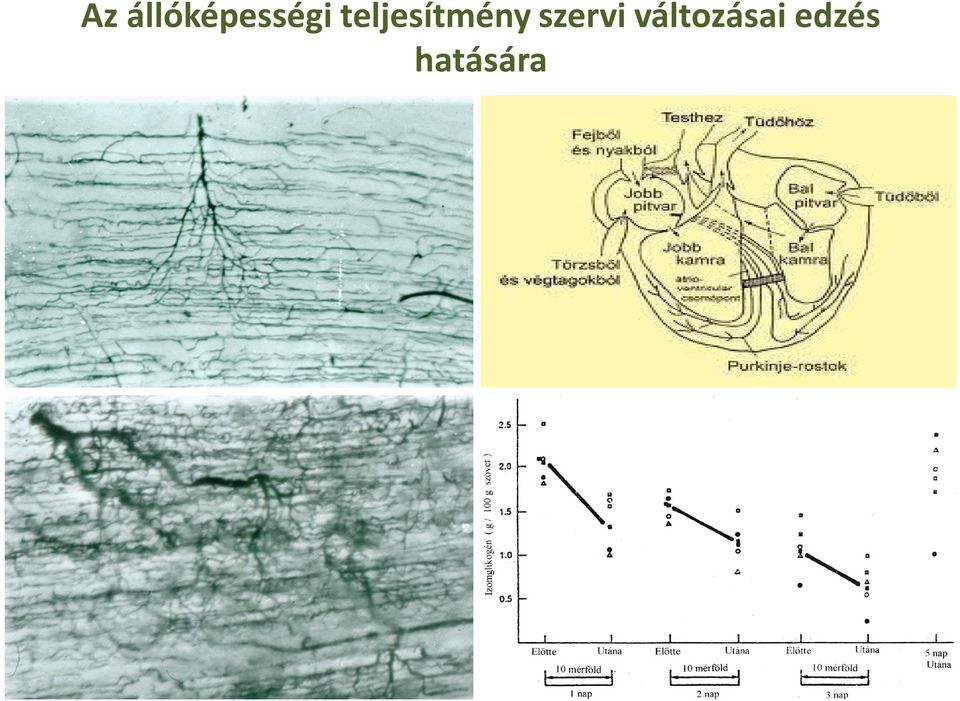 teljesítmény