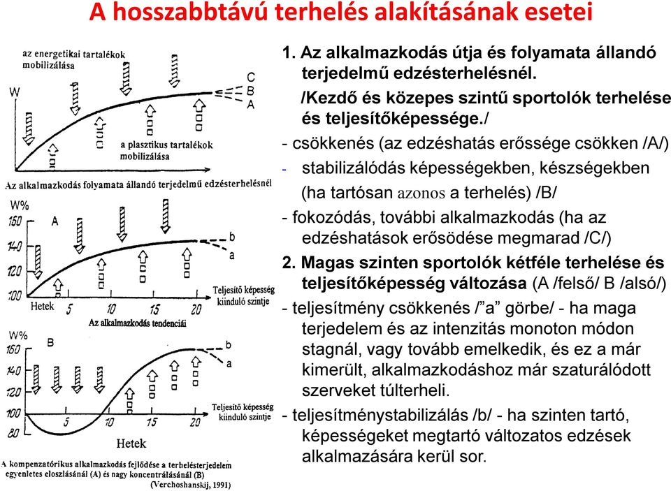 megmarad /C/) 2.