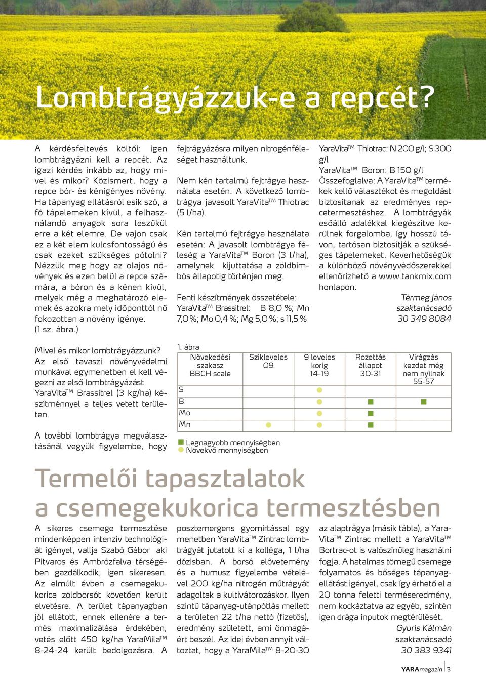 Nézzük meg hogy az olajos növények és ezen belül a repce számára, a bóron és a kénen kívül, melyek még a meghatározó elemek és azokra mely időponttól nő fokozottan a növény igénye. (1 sz. ábra.