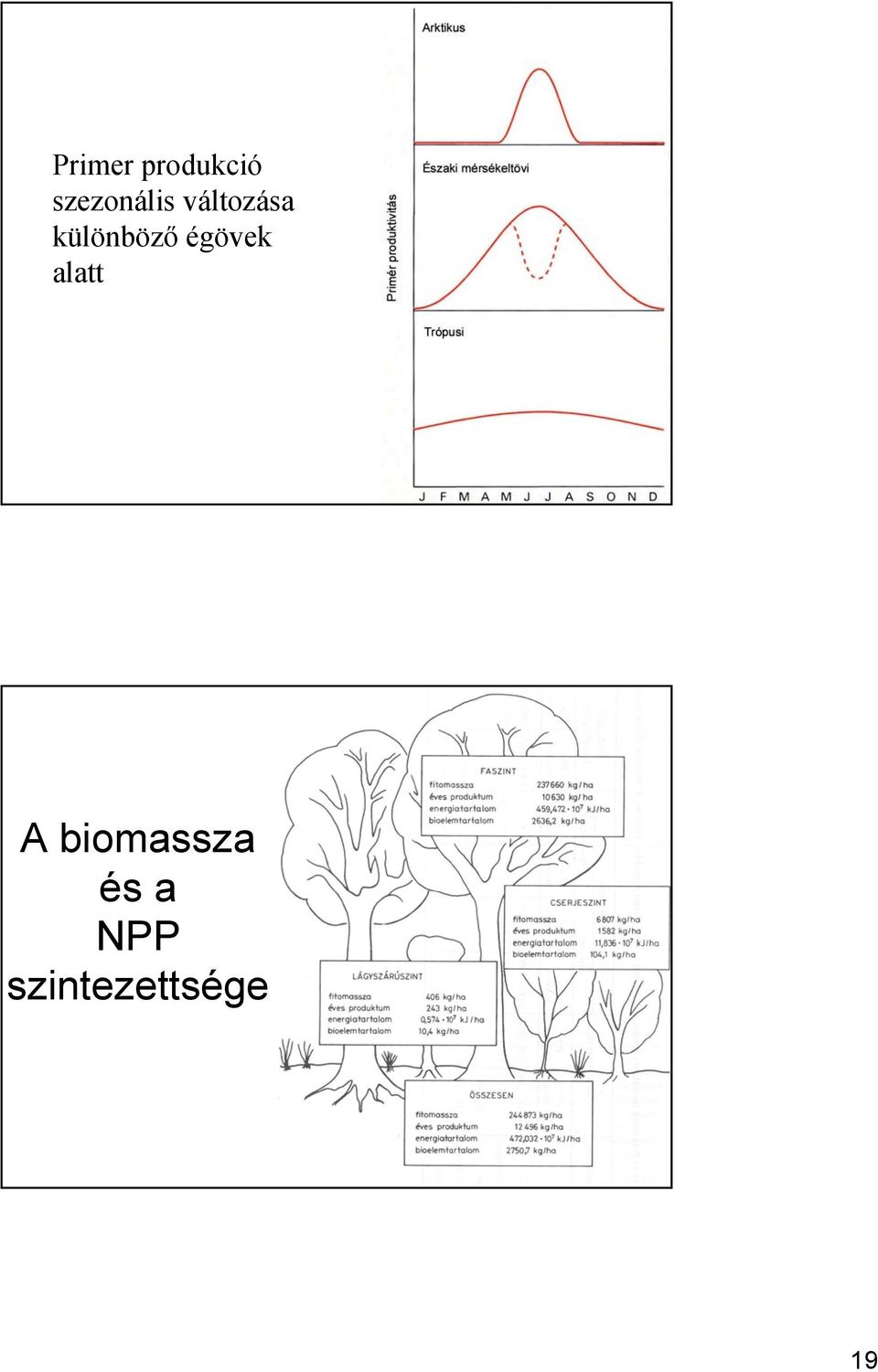 különböző égövek alatt A