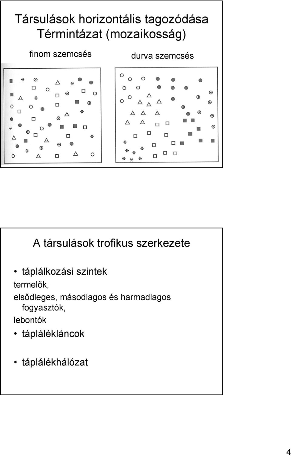 szerkezete táplálkozási szintek termelők, elsődleges,