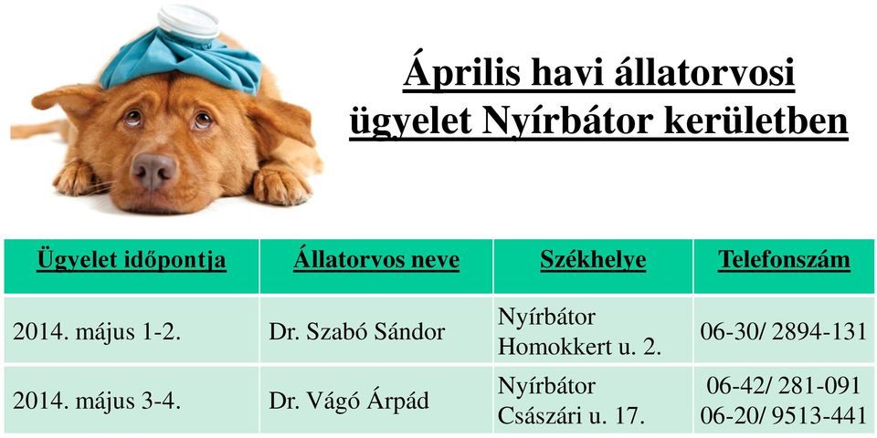 Szabó Sándor 2014. május 3-4. Dr. Vágó Árpád Nyírbátor Homokkert u.