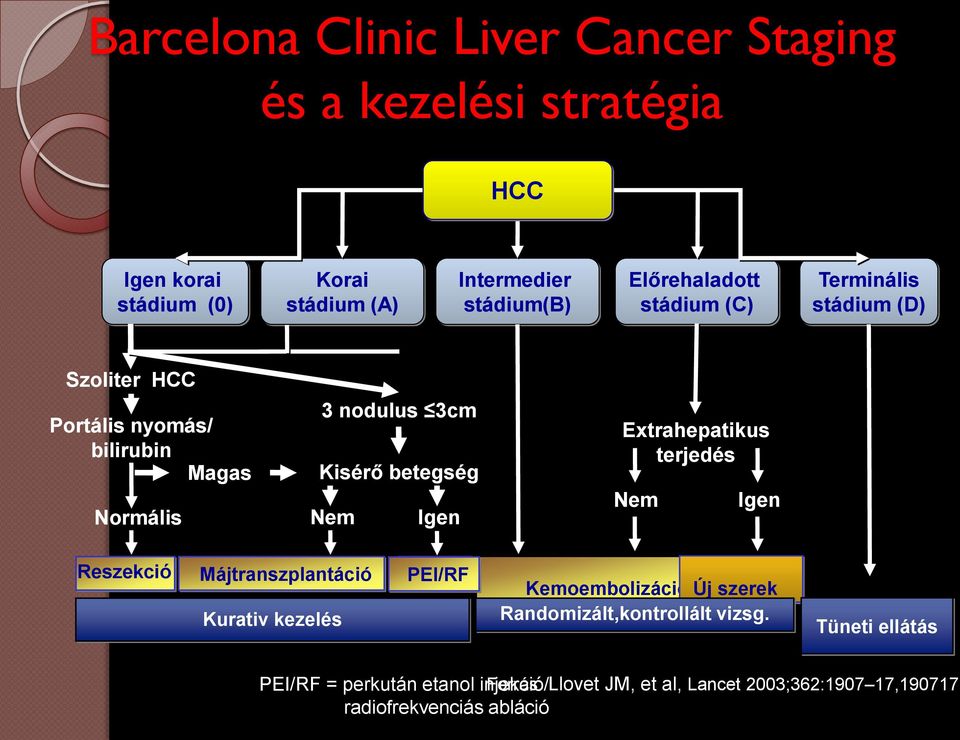 Nem Igen Extrahepatikus terjedés Nem Igen Reszekció Májtranszplantáció Kurativ kezelés PEI/RF Kemoembolizáció Új szerek