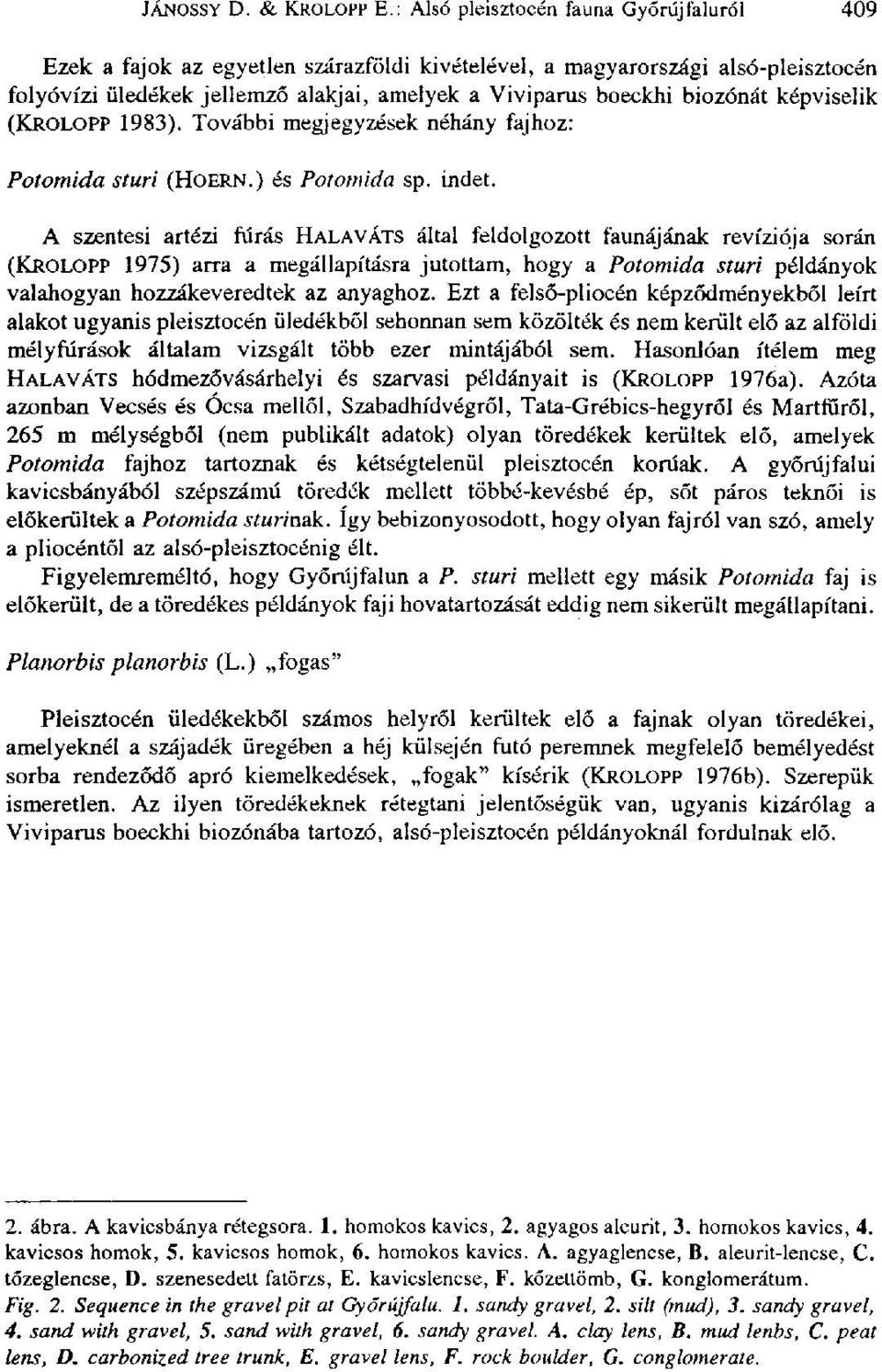 képviselik (KROLOPP 1983). További megjegyzések néhány fajhoz: Potomida sturi (HOERN.) és Potomida sp. indet.