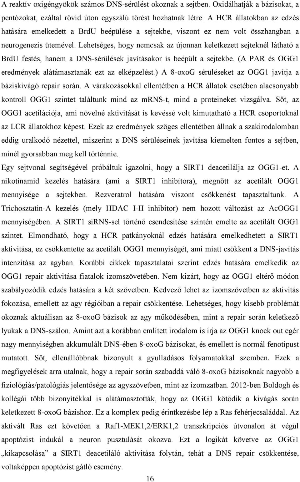 Lehetséges, hogy nemcsak az újonnan keletkezett sejteknél látható a BrdU festés, hanem a DNS-sérülések javításakor is beépült a sejtekbe. (A PAR és OGG1 eredmények alátámasztanák ezt az elképzelést.