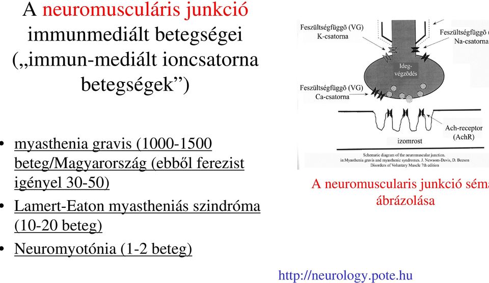 igényel 30-50) Lamert-Eaton myastheniás szindróma (10-20 beteg) Neuromyotónia