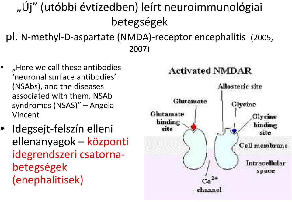 antibodies neuronal surface antibodies (NSAbs), and the diseases associated with