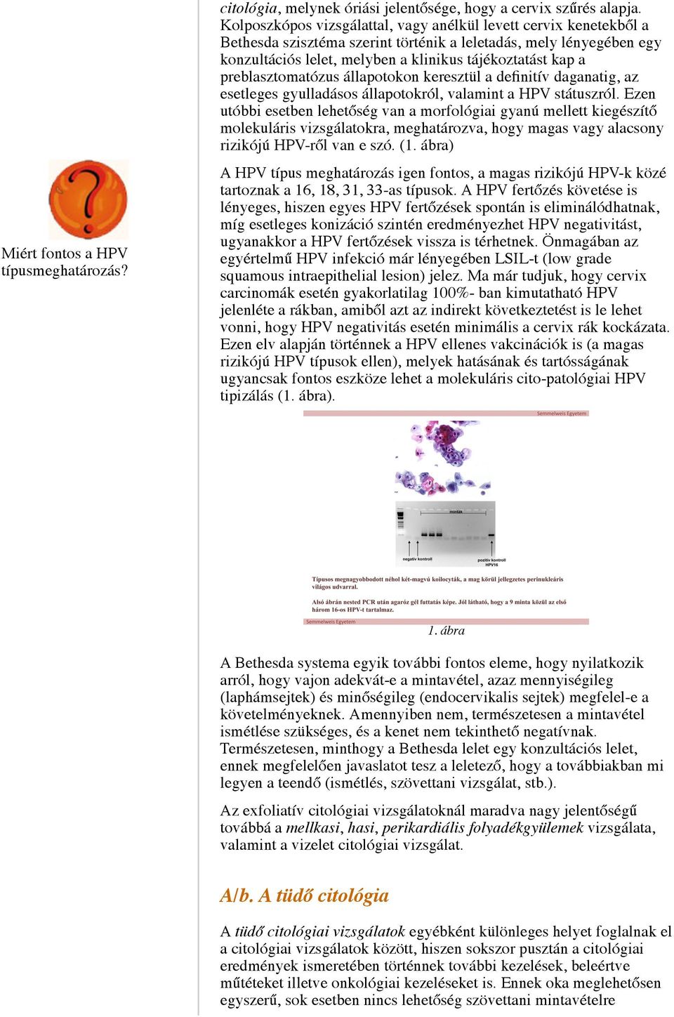 preblasztomatózus állapotokon keresztül a definitív daganatig, az esetleges gyulladásos állapotokról, valamint a HPV státuszról.