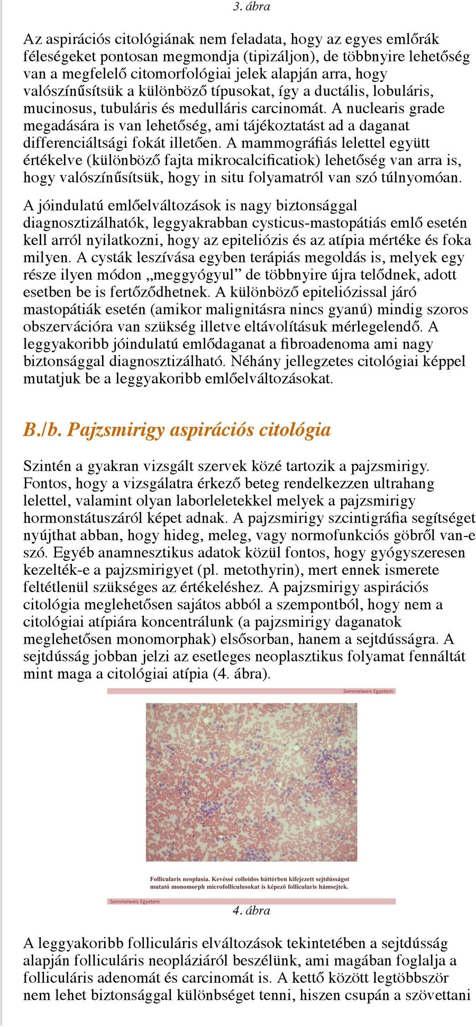 A nuclearis grade megadására is van lehetőség, ami tájékoztatást ad a daganat differenciáltsági fokát illetően.