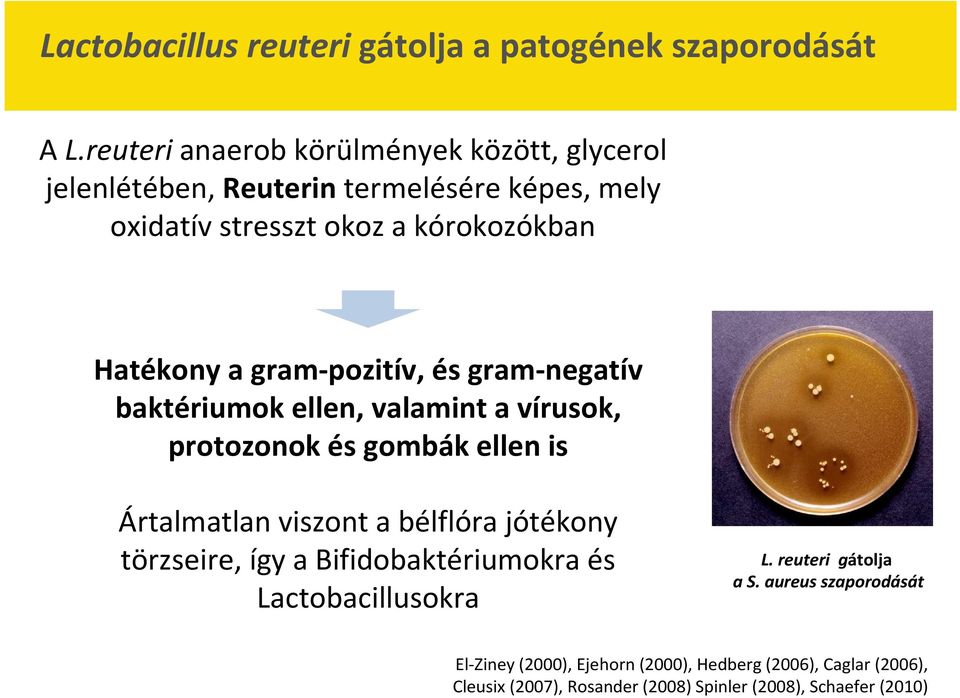 Campylobacter jejuni Porphyromonas gingivalis Clostridium perfringens Prevotella intermedia Hatékony a gram-pozitív, és gram-negatív Clostridium difficile Pseudomonas fluorescens Escherichia