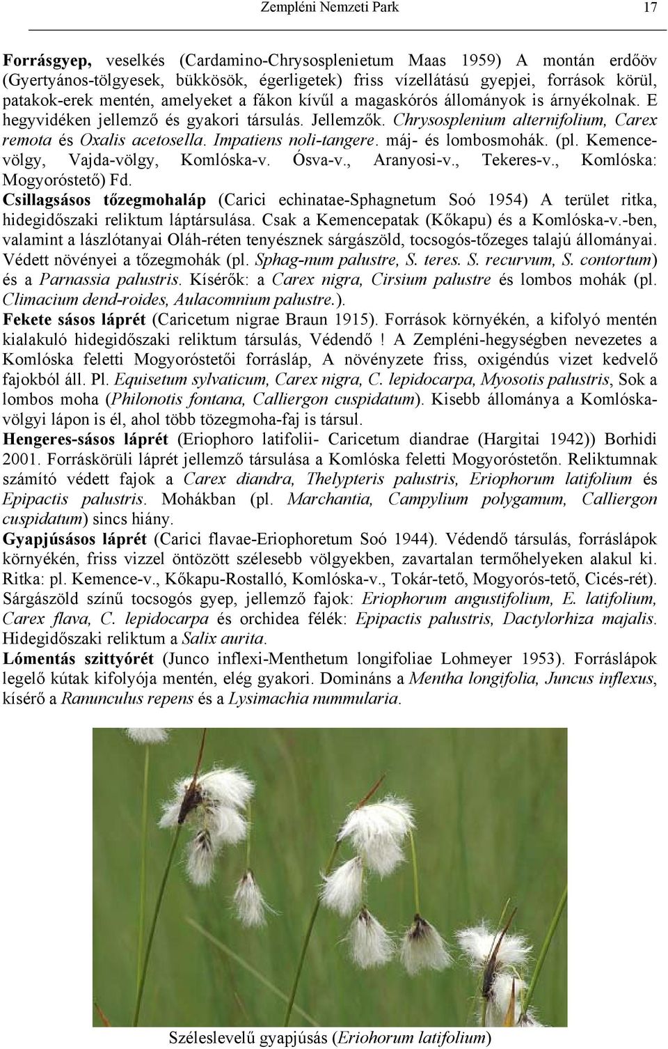 Chrysosplenium alternifolium, Carex remota és Oxalis acetosella. Impatiens noli-tangere. máj- és lombosmohák. (pl. Kemencevölgy, Vajda-völgy, Komlóska-v. Ósva-v., Aranyosi-v., Tekeres-v.
