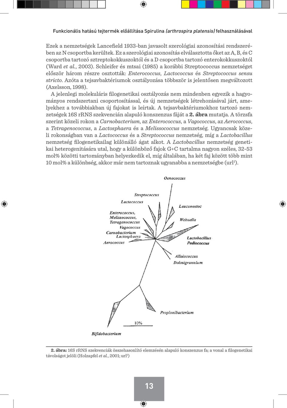 Schleifer és mtsai (1985) a korábbi Streptococcus nemzetséget először három részre osztották: Enterococcus, Lactococcus és Streptococcus sensu stricto.