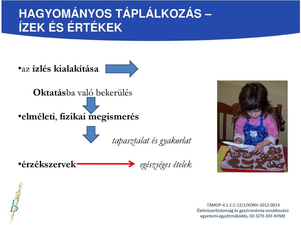 megismerés tapasztalat és