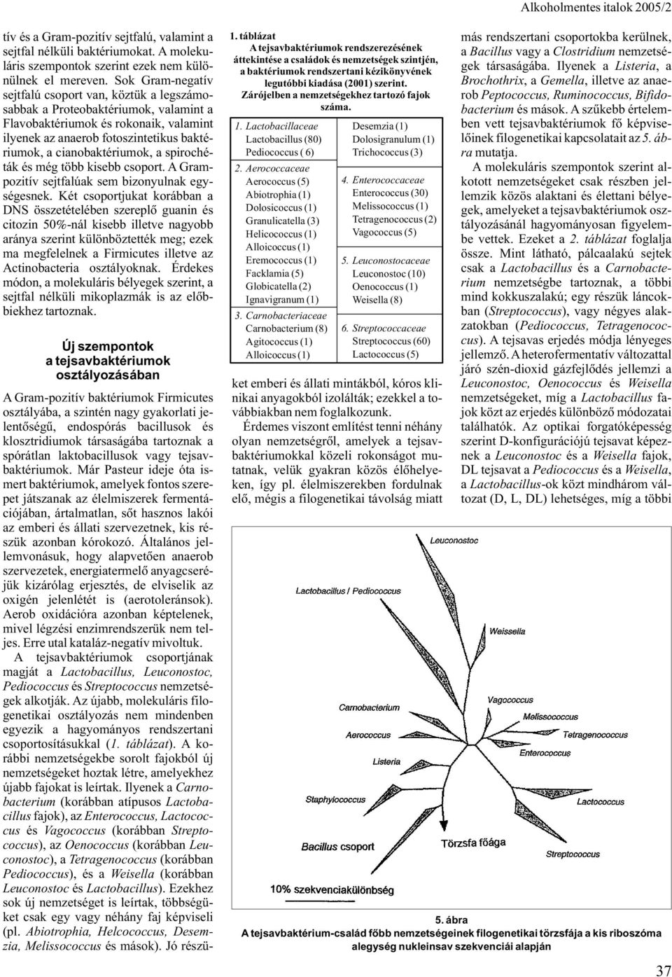 cianobaktériumok, a spirochéták és még több kisebb csoport. A Grampozitív sejtfalúak sem bizonyulnak egységesnek.