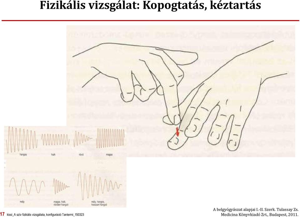 Tantermi_150323 A belgyógyászat alapjai I.-II.