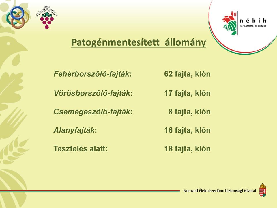 Csemegeszőlő-fajták: Alanyfajták: Tesztelés