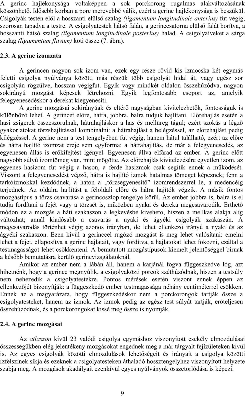 A csigolyatestek hátsó falán, a gerinccsatorna elüls falát borítva, a hosszanti hátsó szalag (ligamentum longitudinale posterius) halad.