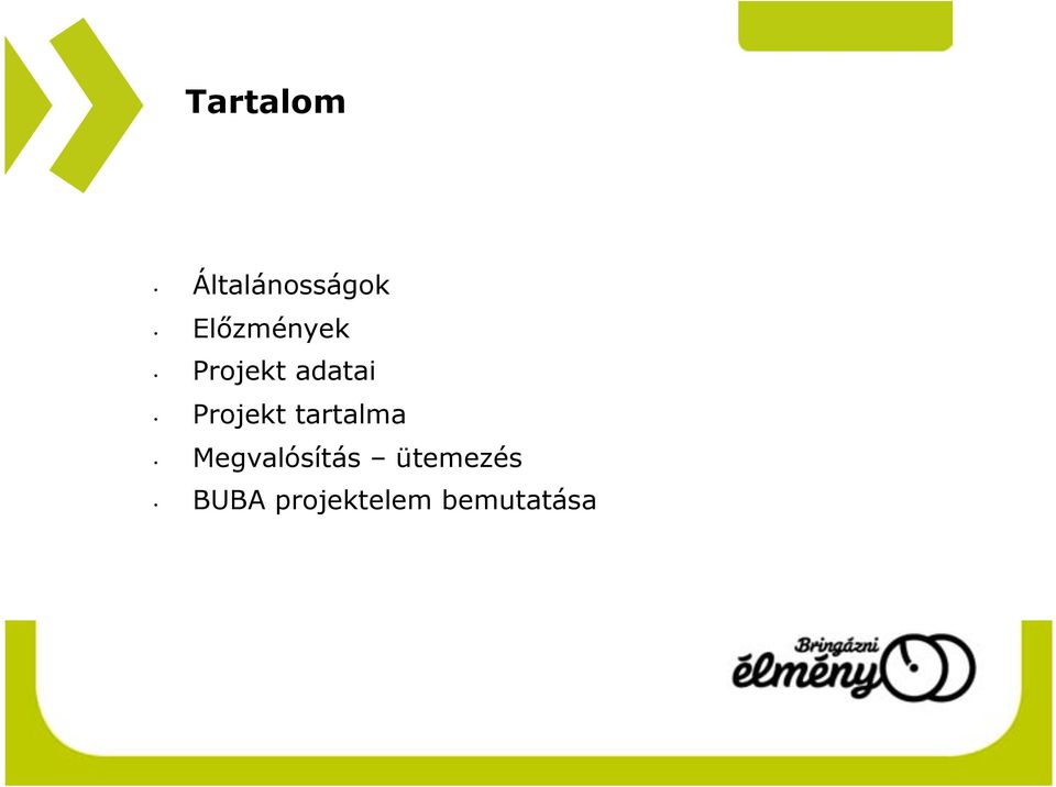 Projekt tartalma