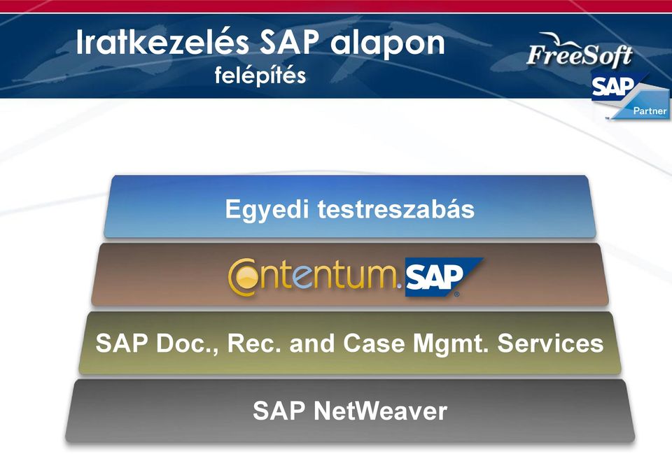 testreszabás SAP Doc., Rec.
