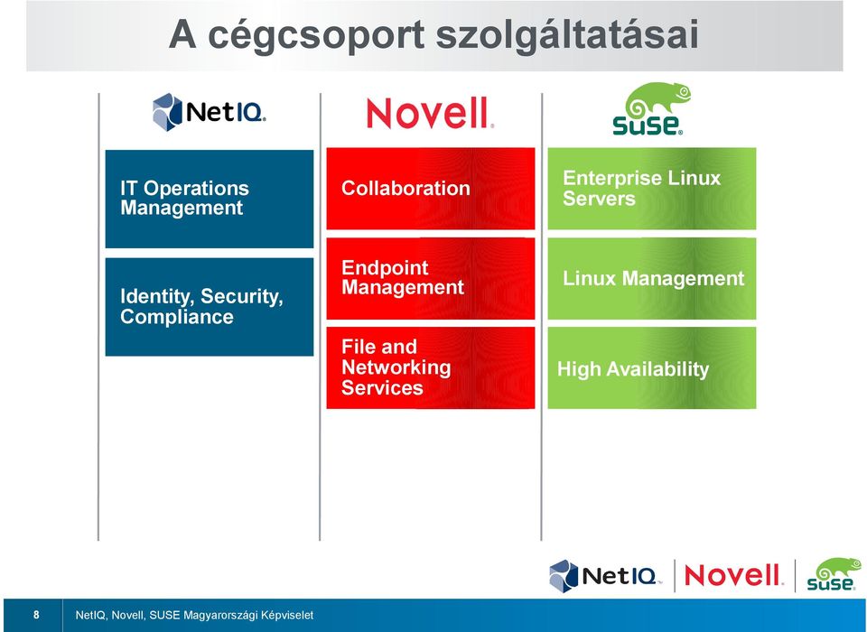 Képviselet Collaboration Enterprise Linux Servers Endpoint