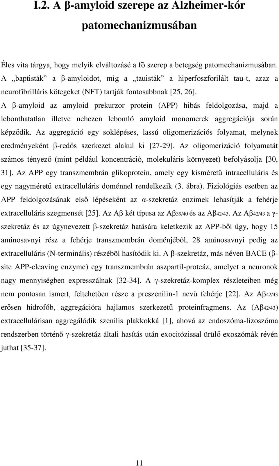 A β-amyloid az amyloid prekurzor protein (APP) hibás feldolgozása, majd a lebonthatatlan illetve nehezen lebomló amyloid monomerek aggregációja során képződik.