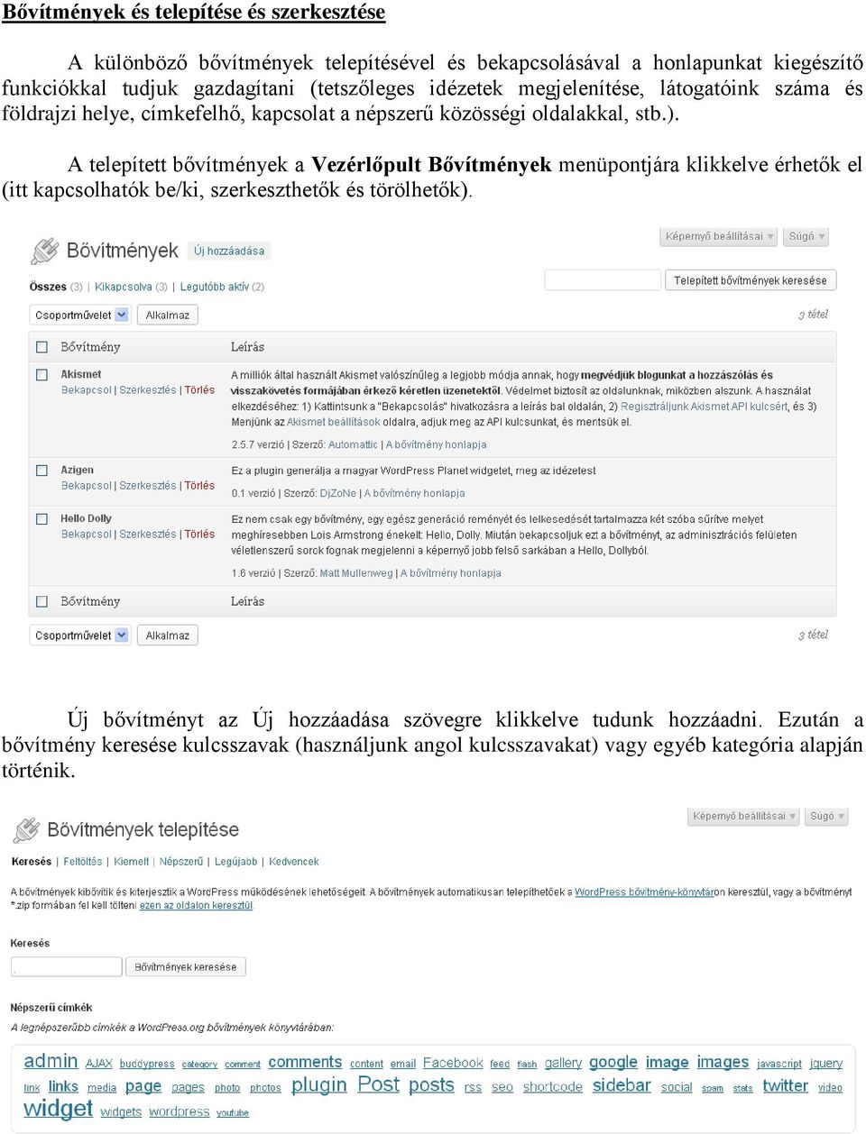 A telepített bővítmények a Vezérlőpult Bővítmények menüpontjára klikkelve érhetők el (itt kapcsolhatók be/ki, szerkeszthetők és törölhetők).