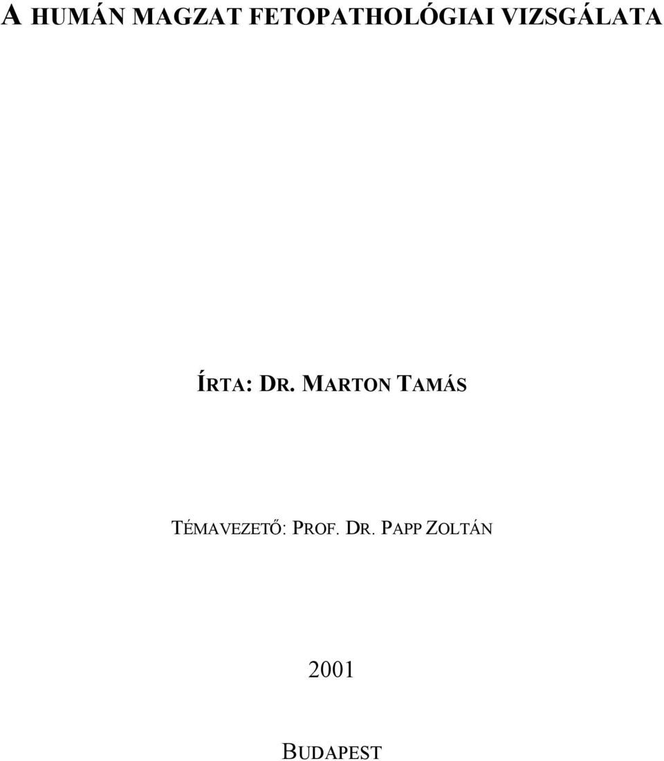 ÍRTA: DR.