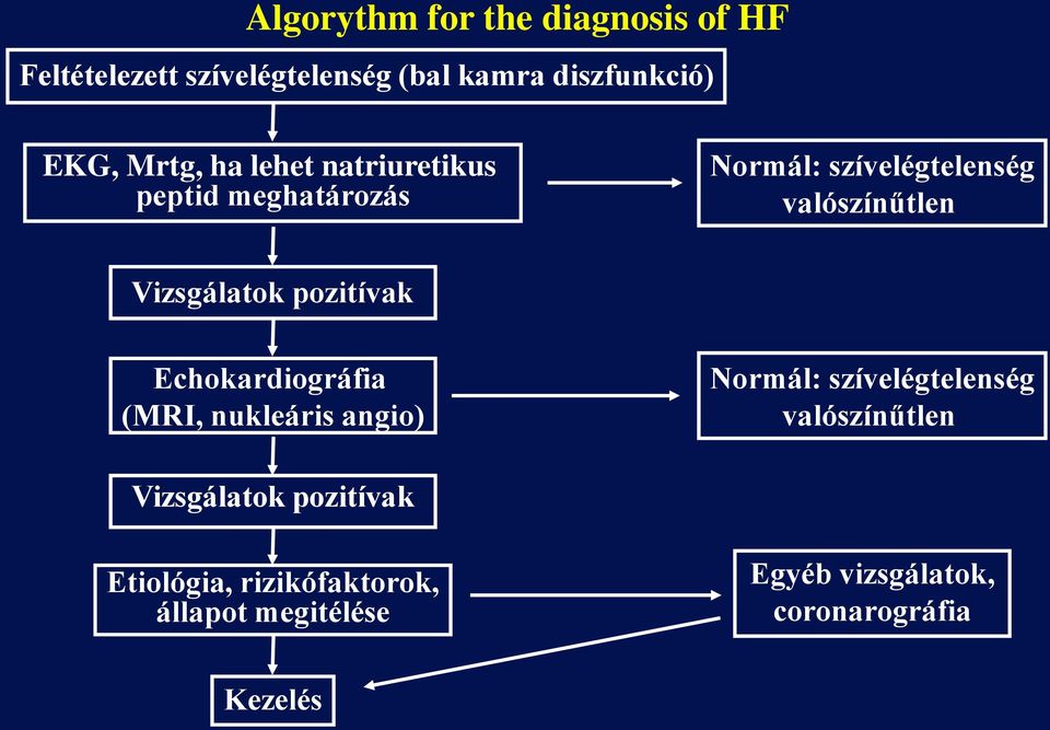 Vizsgálatok pozitívak Echokardiográfia (MRI, nukleáris angio) Normál: szívelégtelenség