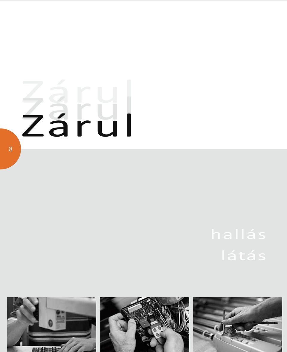 látás