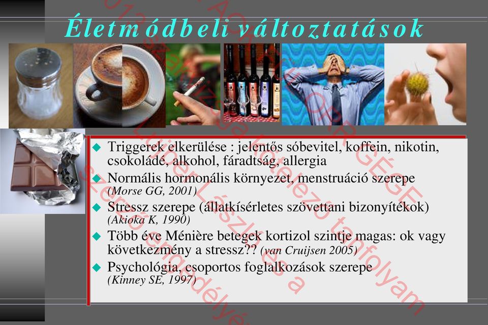 (állatkísérletes szövettani bizonyítékok) (Akioka K, 1990) Több éve Ménière betegek kortizol szintje magas: