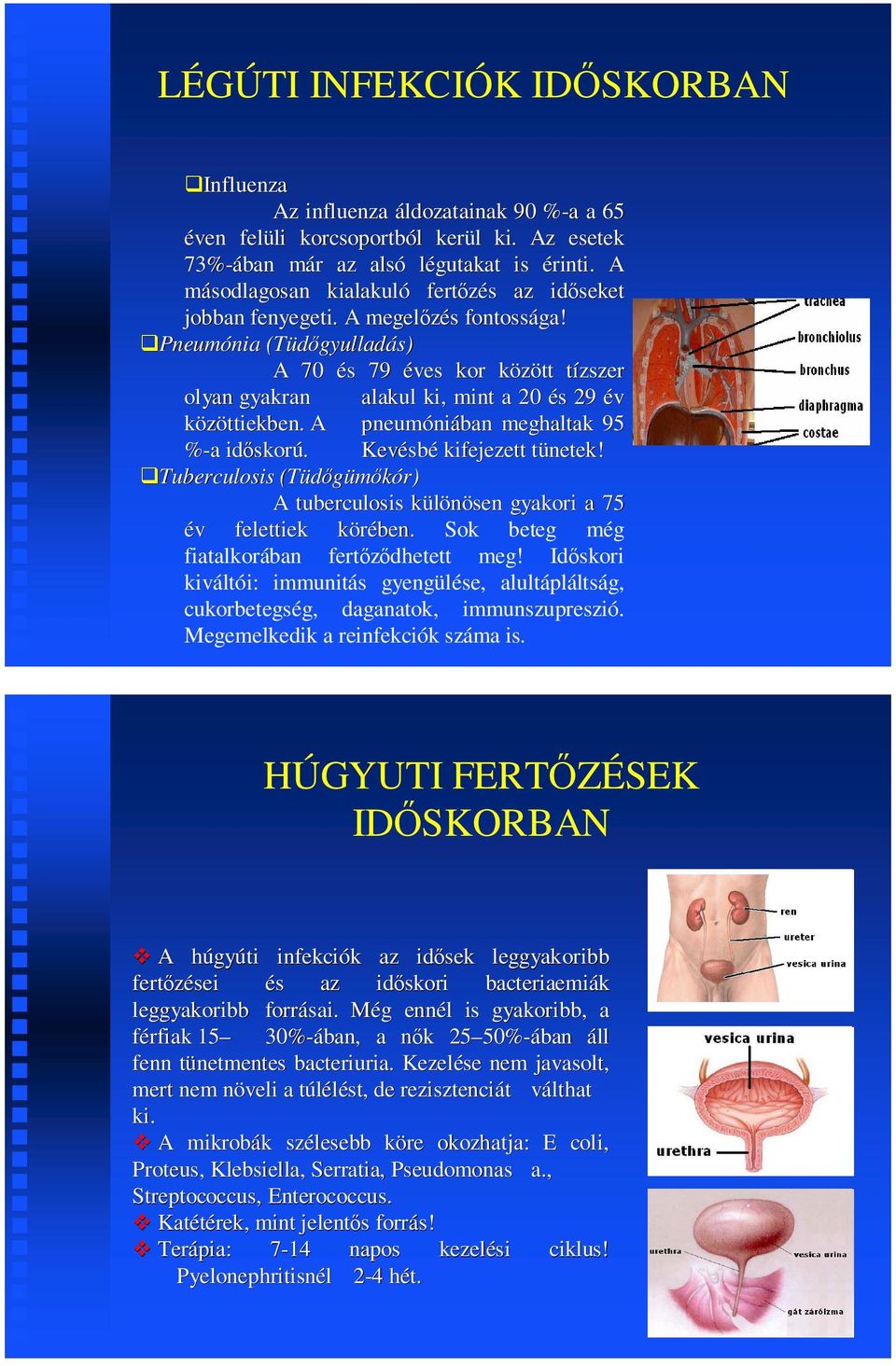 Pneumónia (Tüdőgyulladás) A 70 és 79 éves kor között tízszer olyan gyakran alakul ki, mint a 20 és 29 év közöttiekben. A pneumóniában meghaltak 95 %-a a időskorú. Kevésbé kifejezett tünetek!