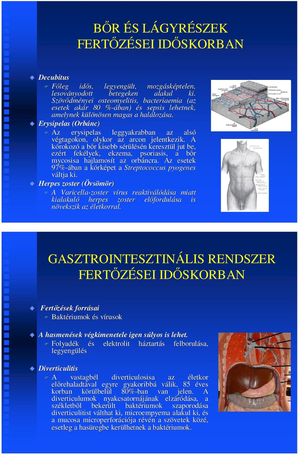 Erysipelas (Orbánc) Az erysipelas leggyakrabban az alsó végtagokon, olykor az arcon jelentkezik.