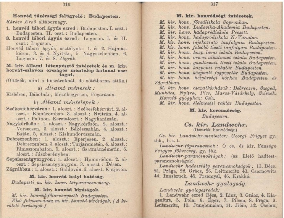 állami lótenyésztő intézetek és m. kir. horvát-szlavon országos méntelep katonai osztagai. <Öltözék, mint a huszároknál, de sötétbarna atilla.
