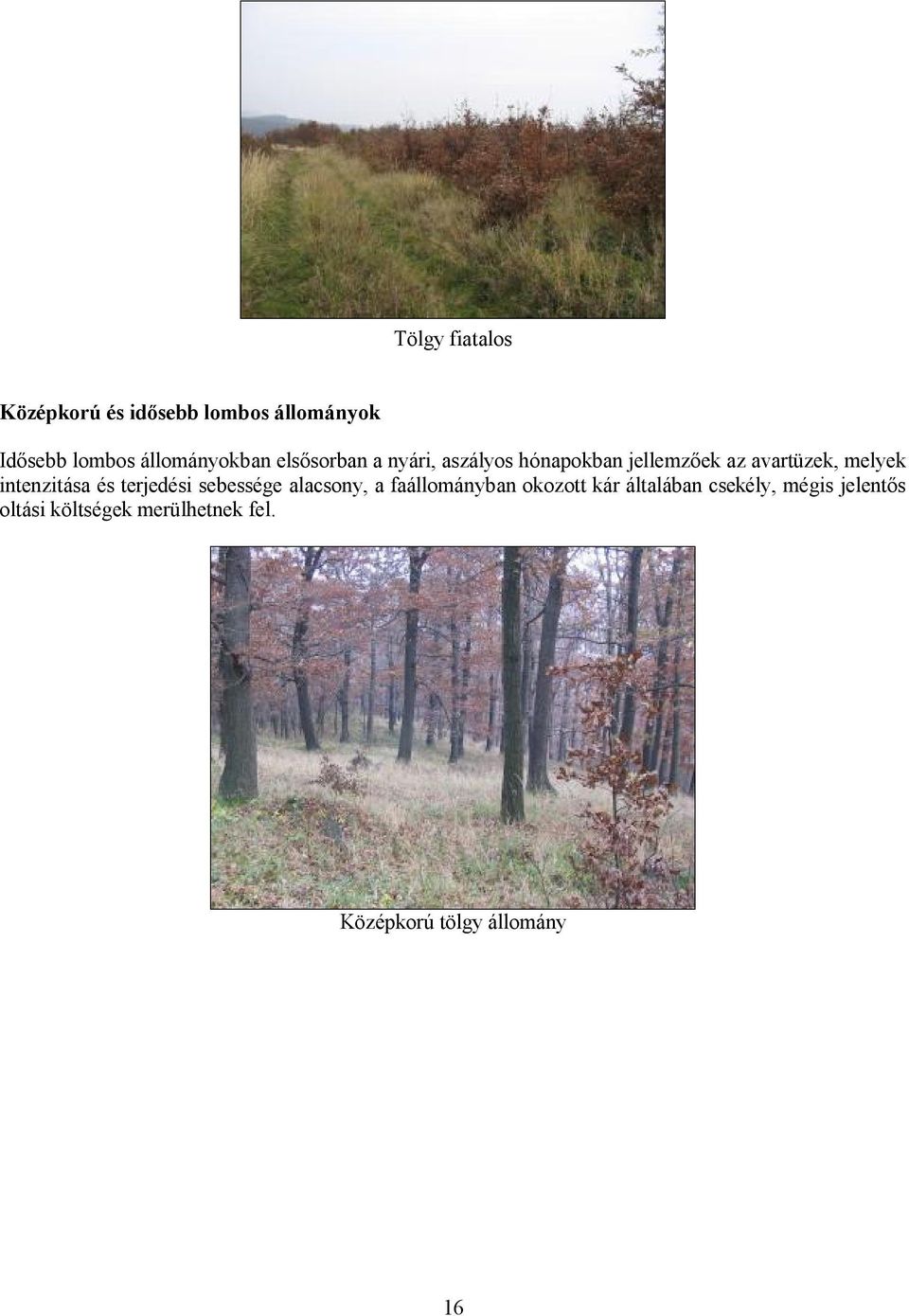 melyek intenzitása és terjedési sebessége alacsony, a faállományban okozott kár