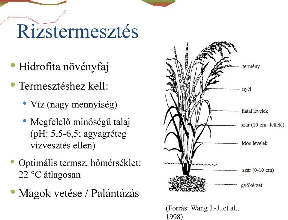 agyagréteg vízvesztés ellen) Optimális termsz.