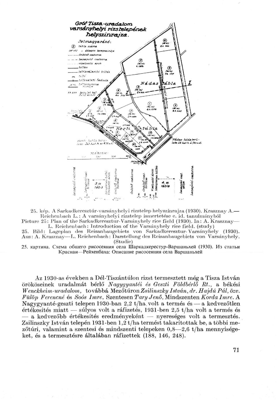 Bild: Lageplan des Reisanbaugebiets von Sarkadkeresztur-Varsányhely (1930). Aus: A. Krasznay L. Reichenbach: Darstellung des Reisanbaugebiets von Varsányhely. (Studie) 25. картина.