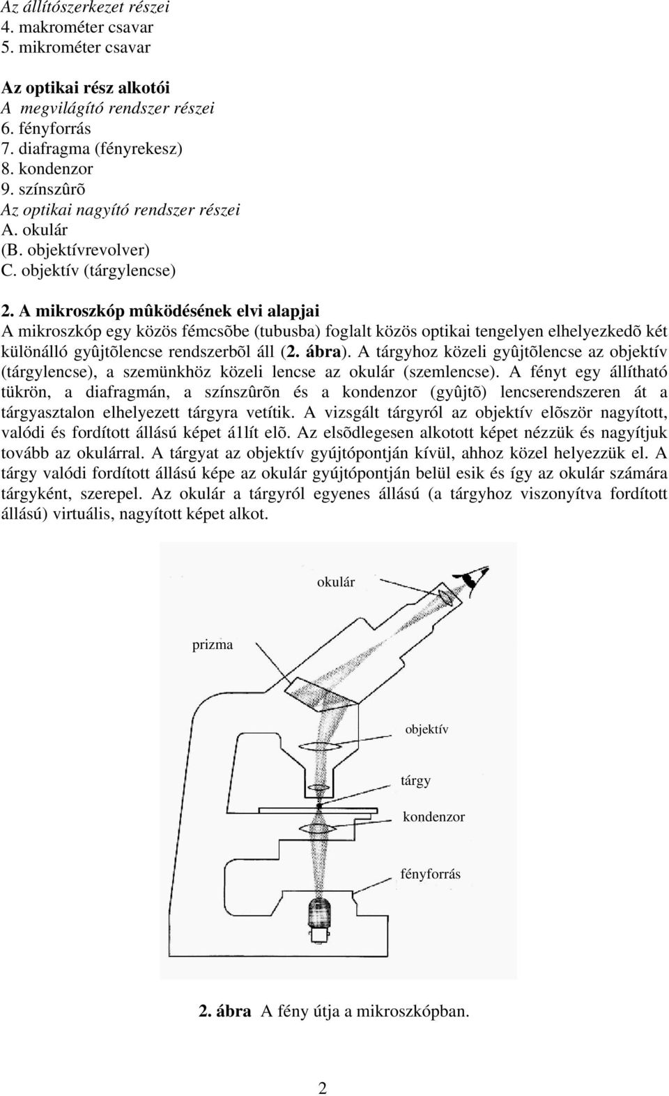 I. GYAKORLAT A fénymikroszkóp - PDF Ingyenes letöltés