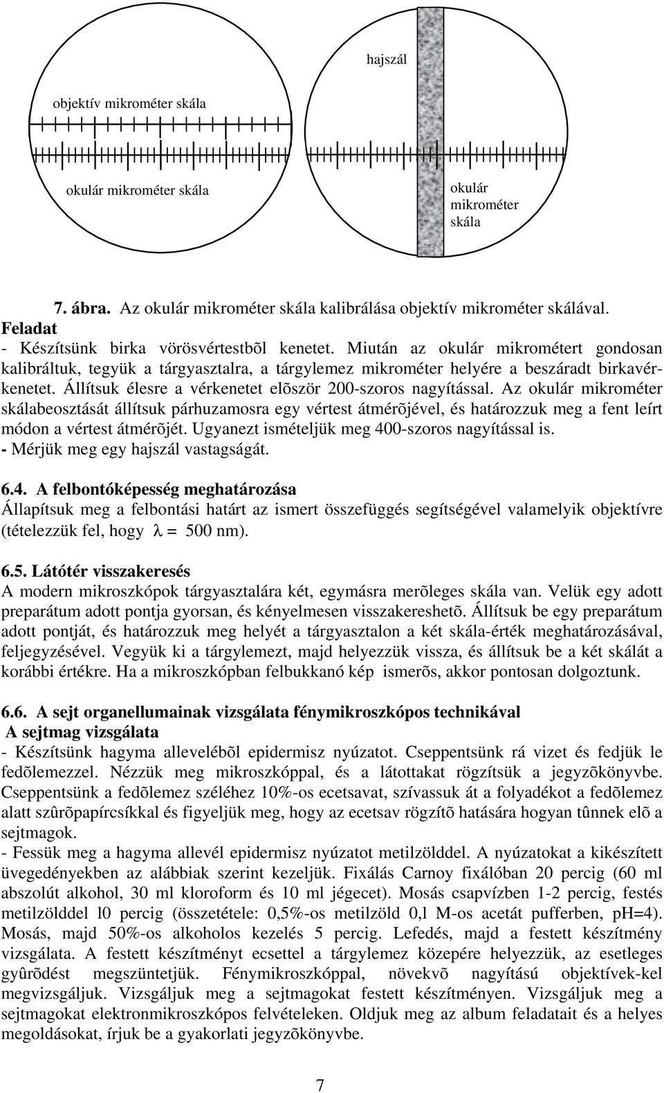 I. GYAKORLAT A fénymikroszkóp - PDF Ingyenes letöltés