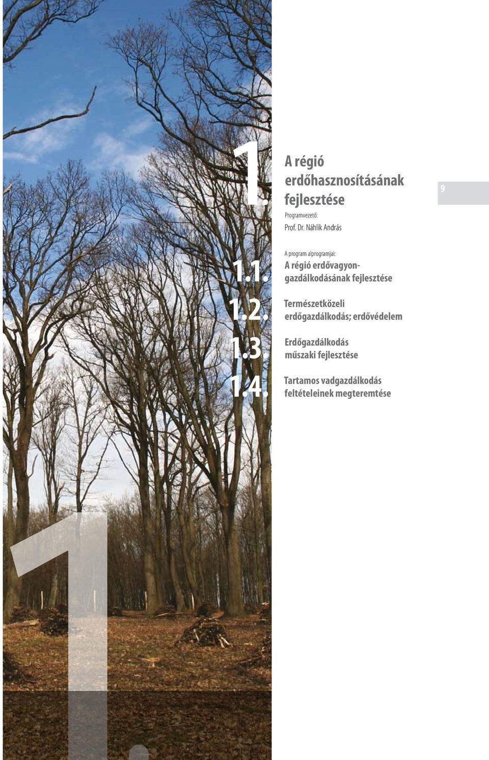 A program alprogramjai: A régió erdővagyongazdálkodásának fejlesztése