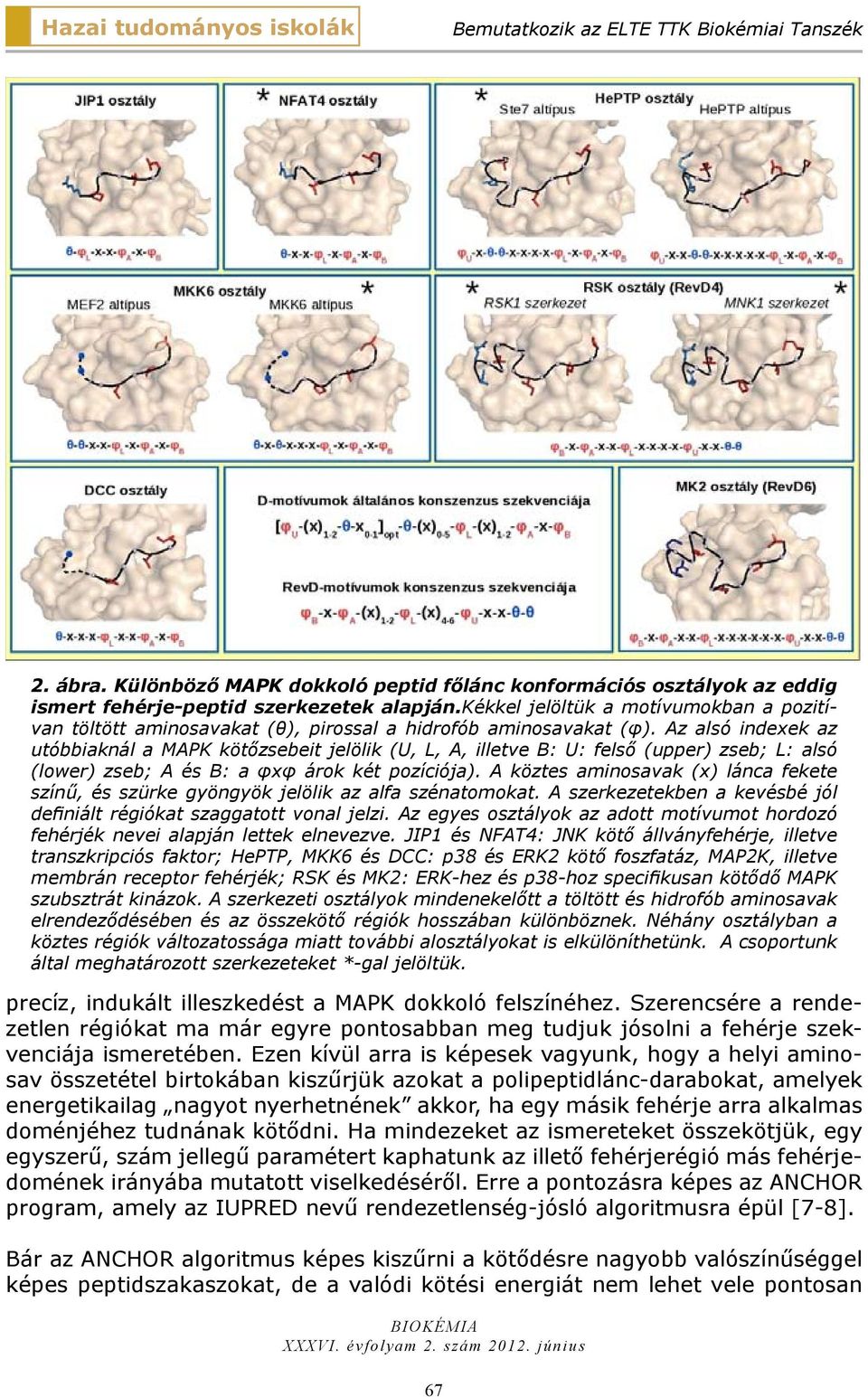 Az alsó indexek az utóbbiaknál a MAPK kötőzsebeit jelölik (U, L, A, illetve B: U: felső (upper) zseb; L: alsó (lower) zseb; A és B: a φxφ árok két pozíciója).