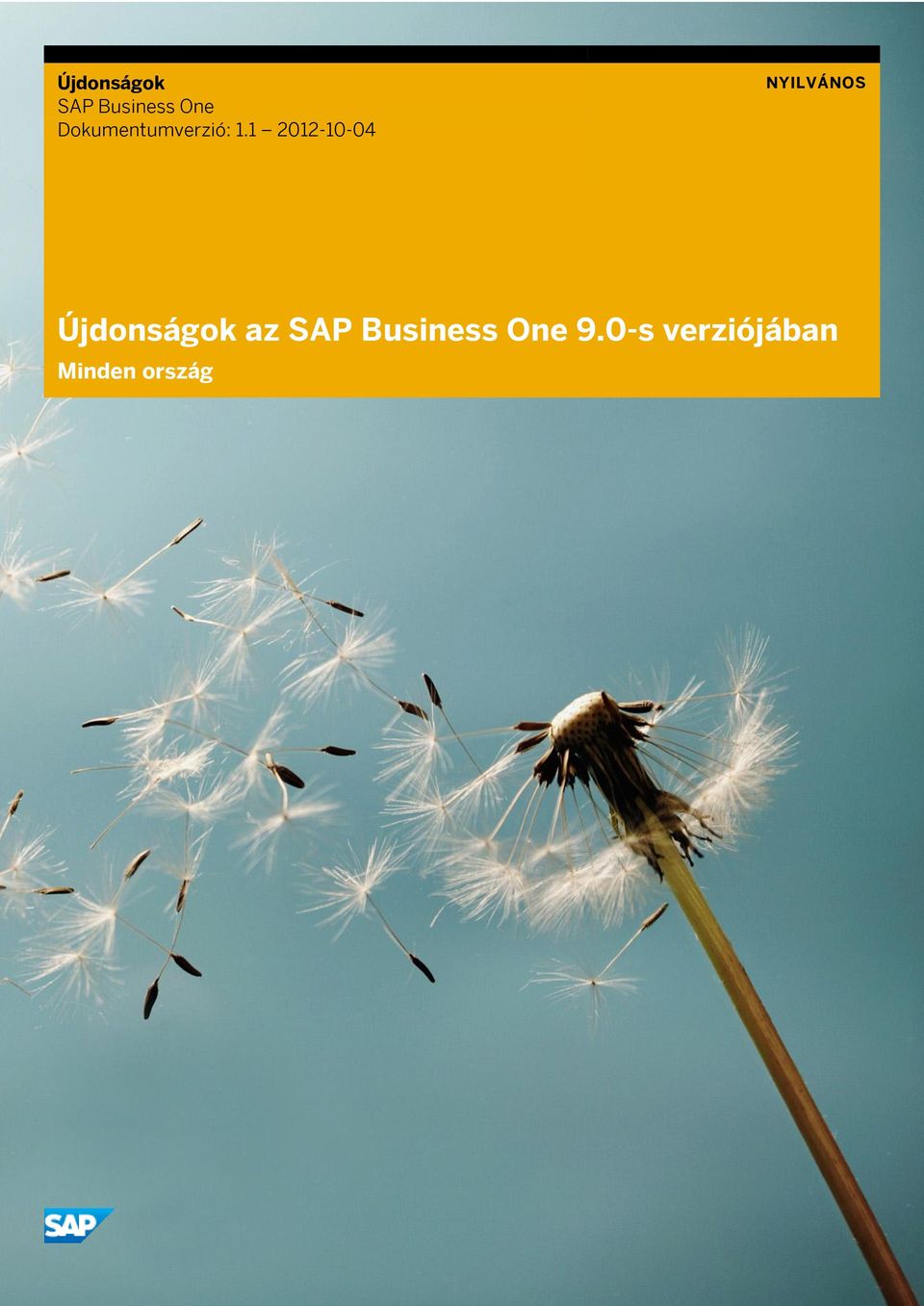 1 2012-10-04 Újdonságok az SAP
