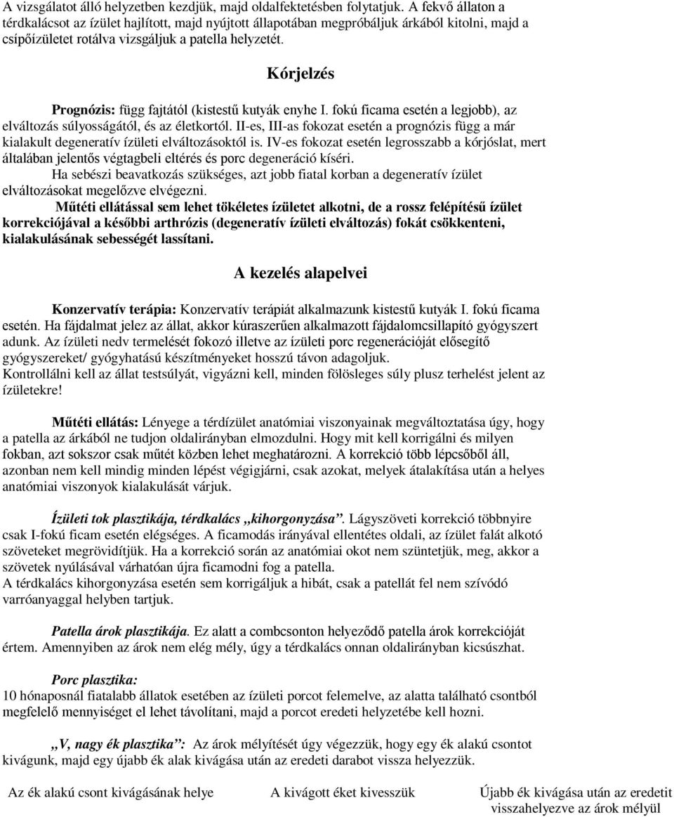 Kórjelzés Prognózis: függ fajtától (kistestű kutyák enyhe I. fokú ficama esetén a legjobb), az elváltozás súlyosságától, és az életkortól.