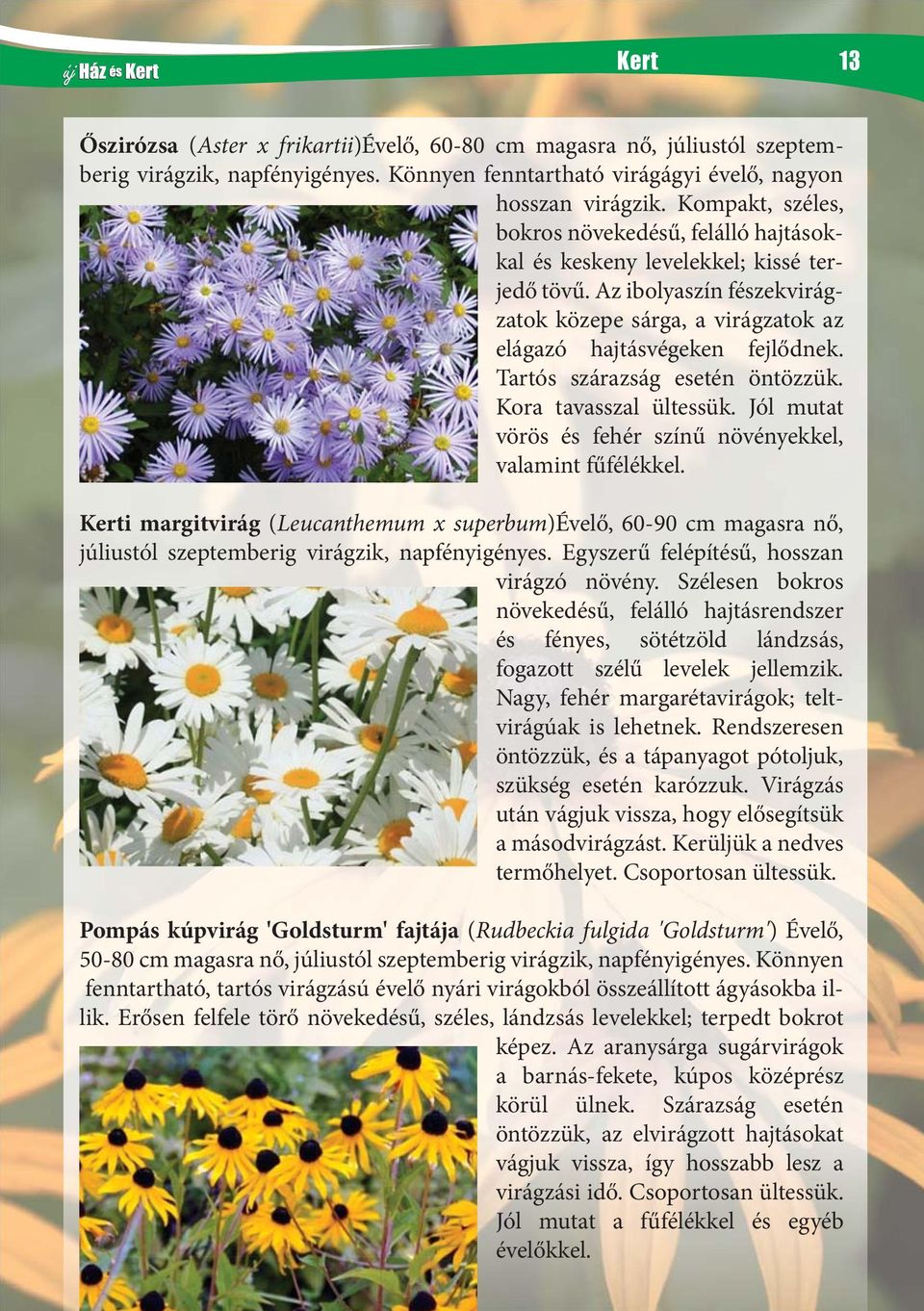 szükség esetén támasztékot igényel. Hosszú életű virágágyi dísznövény a  nyári és az őszi virágágyba. Ideális vágott virág. - PDF Free Download